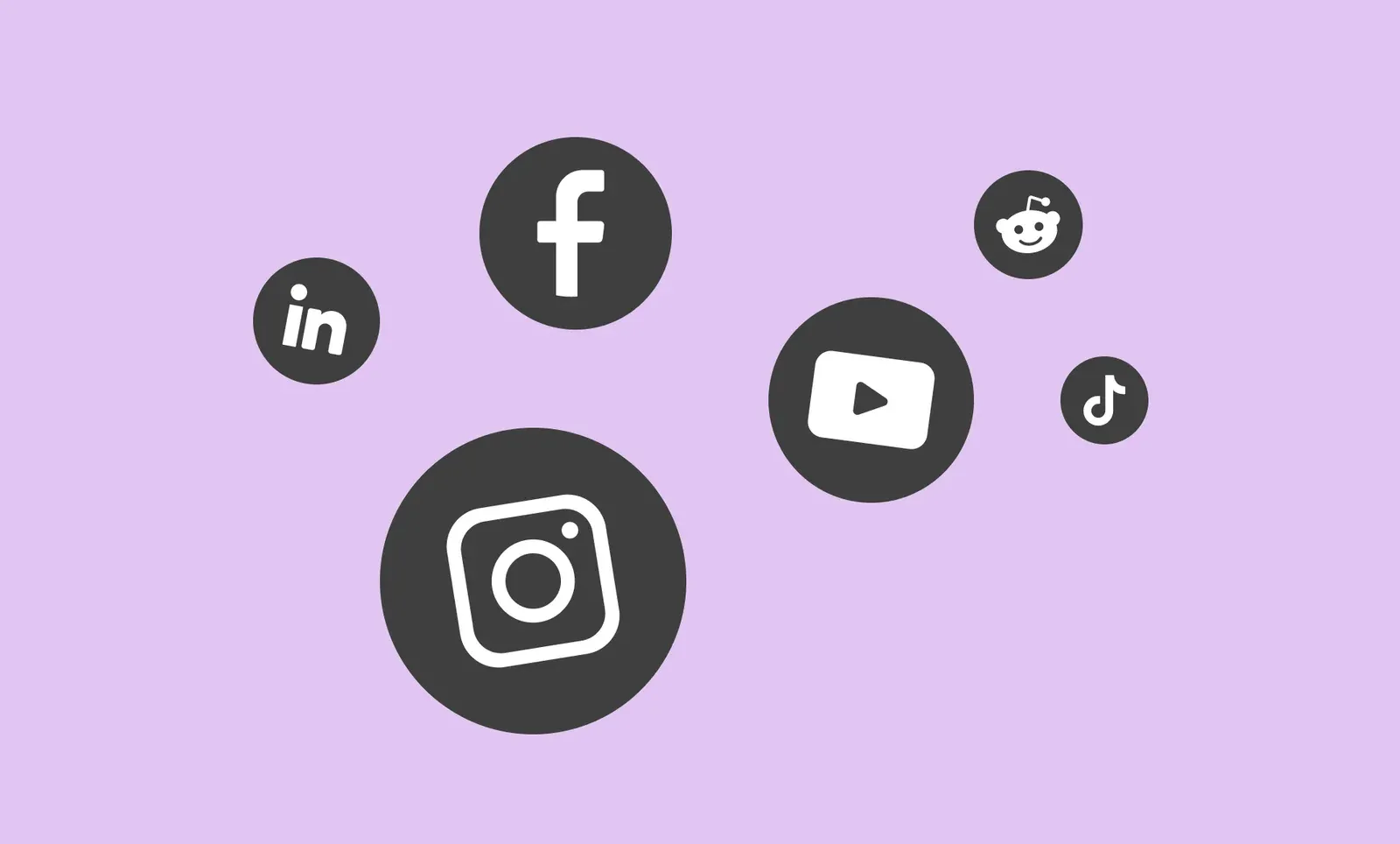 Dark circular social media icons for LinkedIn, Facebook, Instagram, YouTube, Reddit, and TikTok on a lavender background.